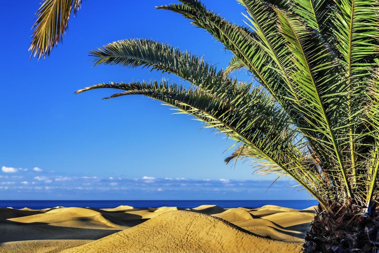 Las Adelfas South Beach 5 By Canariasgetaway San Bartolomé Exterior photo